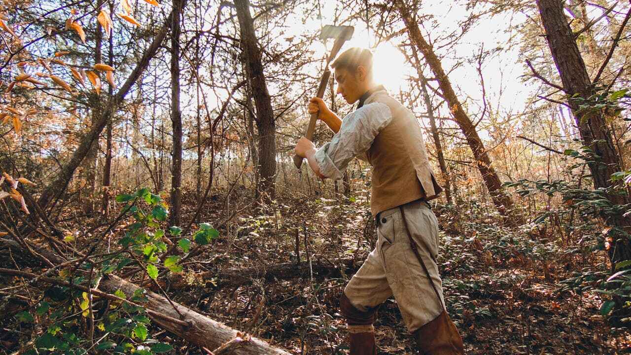 Best Tree Trimming Near Me  in , WV